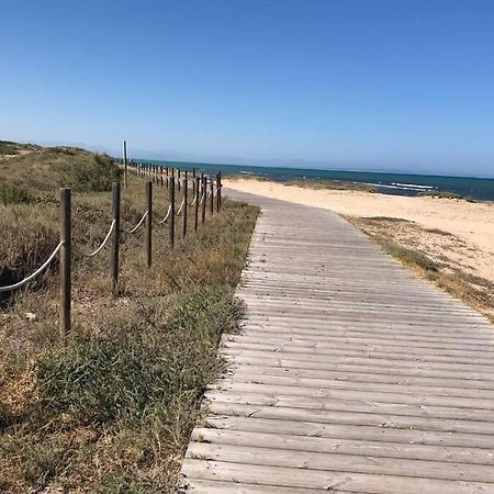Oasis Beach Dream Holiday Guardamar del Segura Exteriör bild