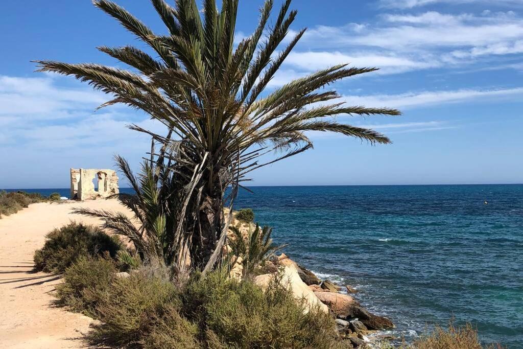 Oasis Beach Dream Holiday Guardamar del Segura Exteriör bild